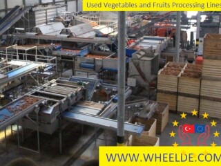 used-vegetables-and-fruits-processing-lines-fruit